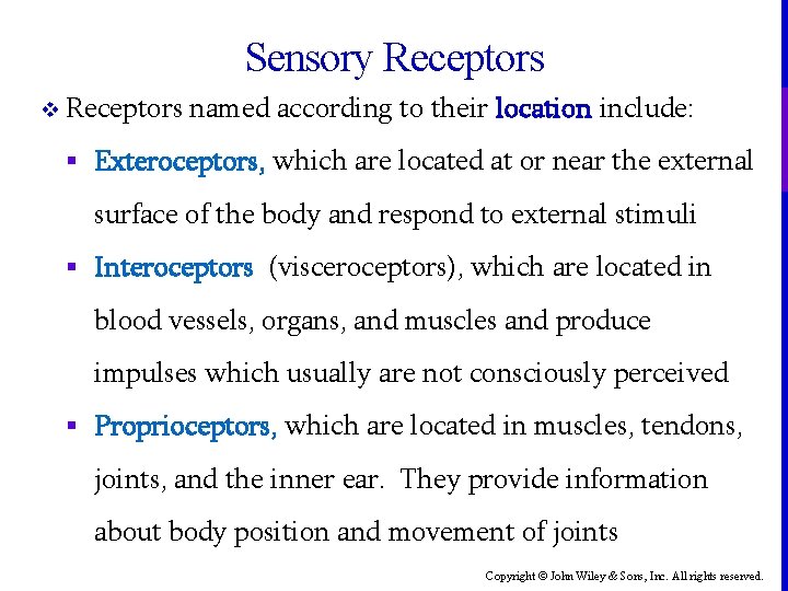 Sensory Receptors v Receptors named according to their location include: § Exteroceptors, which are