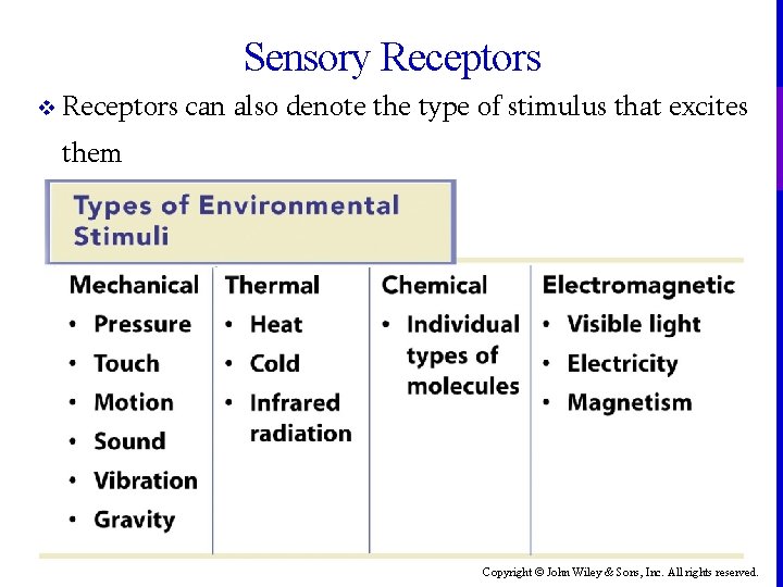 Sensory Receptors v Receptors can also denote the type of stimulus that excites them