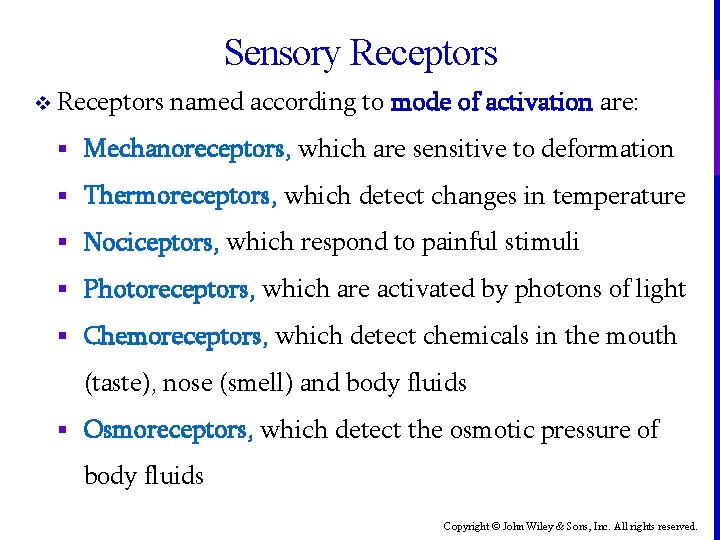Sensory Receptors v Receptors named according to mode of activation are: § Mechanoreceptors, which