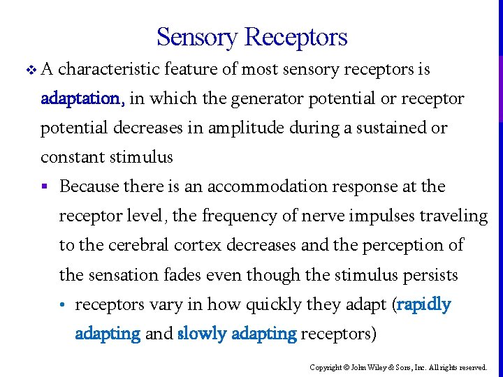 Sensory Receptors v A characteristic feature of most sensory receptors is adaptation, in which