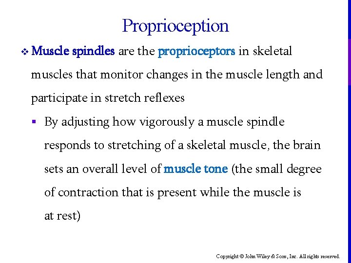 Proprioception v Muscle spindles are the proprioceptors in skeletal muscles that monitor changes in