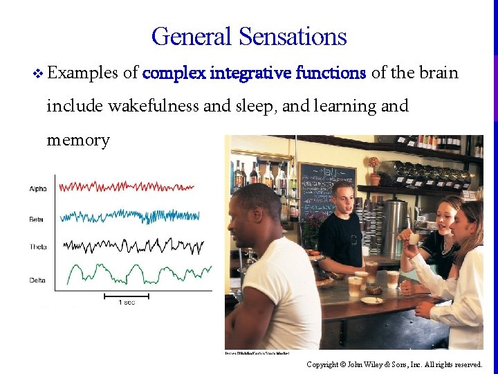 General Sensations v Examples of complex integrative functions of the brain include wakefulness and