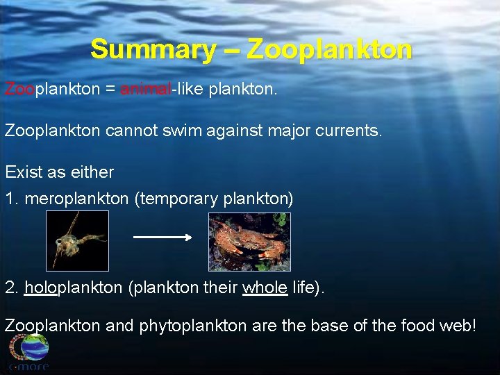 Summary – Zooplankton = animal-like plankton. Zooplankton cannot swim against major currents. Exist as