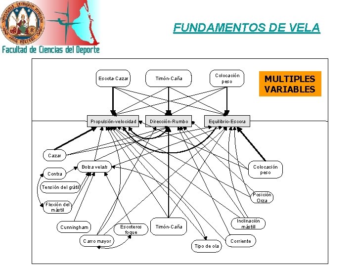 FUNDAMENTOS DE VELA Escota-Cazar Timón-Caña Colocación peso Propulsión-velocidad Dirección-Rumbo Equilibrio-Escora MULTIPLES VARIABLES Cazar Bolsa