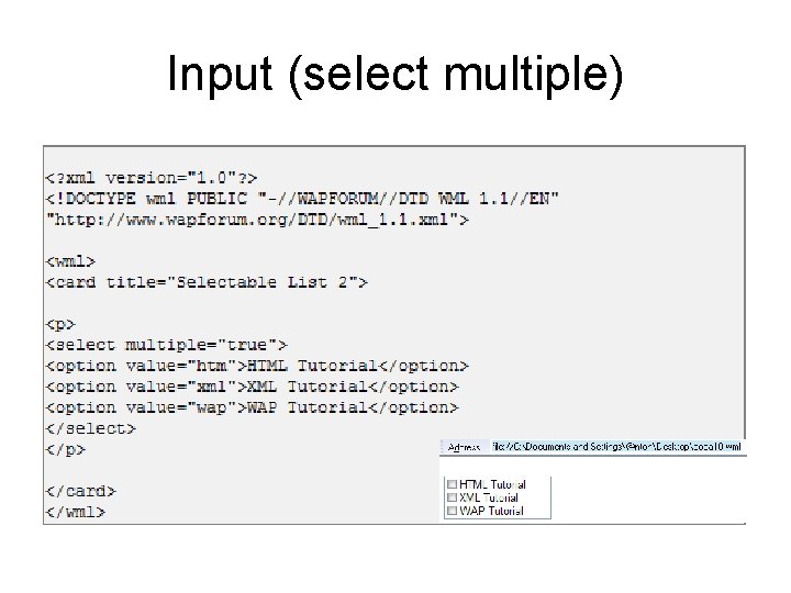 Input (select multiple) 