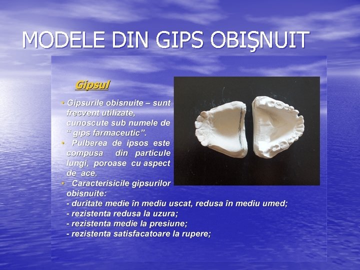 MODELE DIN GIPS OBIŞNUIT 