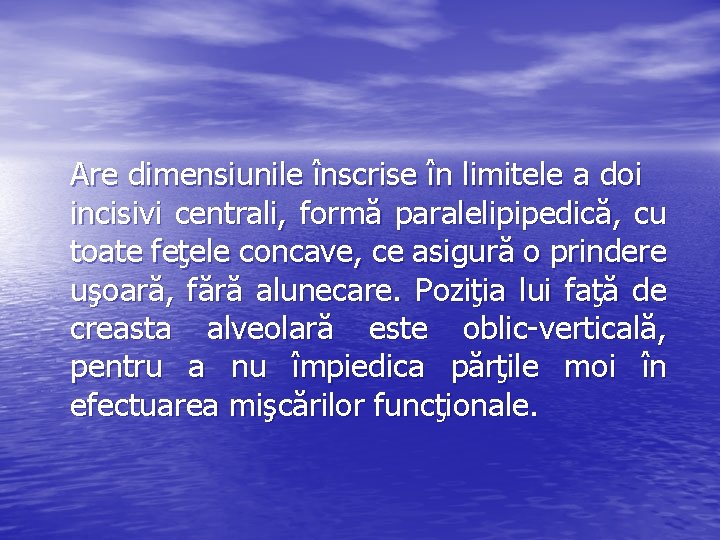 Are dimensiunile înscrise în limitele a doi incisivi centrali, formă paralelipipedică, cu toate feţele