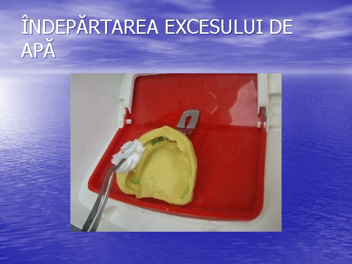 ÎNDEPĂRTAREA EXCESULUI DE APĂ 