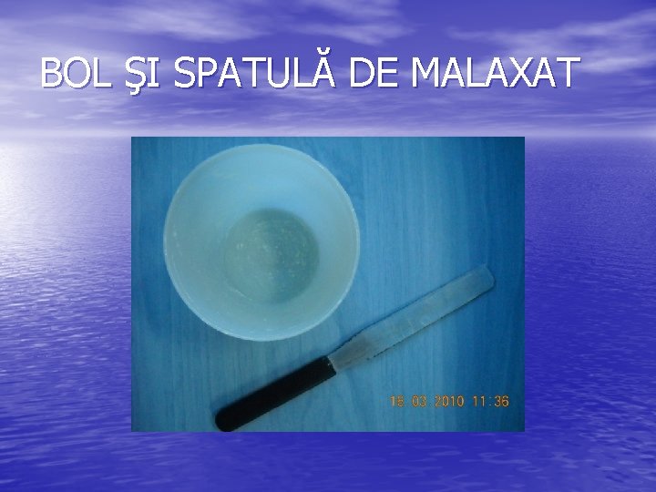 BOL ŞI SPATULĂ DE MALAXAT 