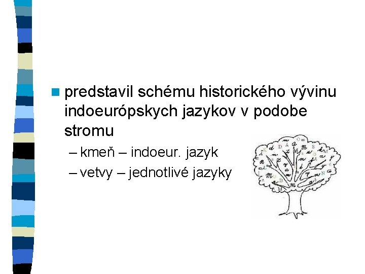 n predstavil schému historického vývinu indoeurópskych jazykov v podobe stromu – kmeň – indoeur.