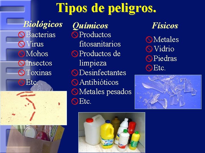 Tipos de peligros. Biológicos x Bacterias x Virus x Mohos x Insectos x Toxinas