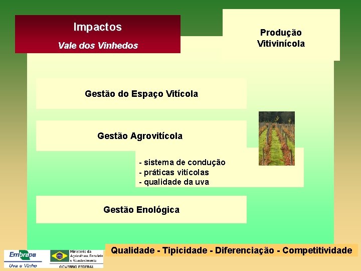Impactos Produção Vitivinícola Vale dos Vinhedos Gestão do Espaço Vitícola Gestão Agrovitícola - sistema
