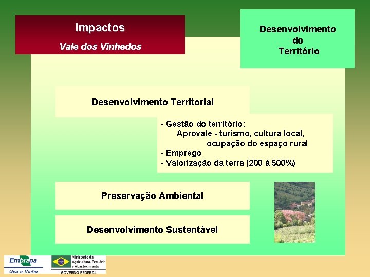Impactos Desenvolvimento do Território Vale dos Vinhedos Desenvolvimento Territorial - Gestão do território: Aprovale