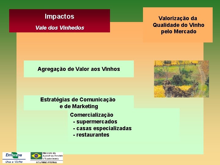 Impactos Vale dos Vinhedos Agregação de Valor aos Vinhos Estratégias de Comunicação e de