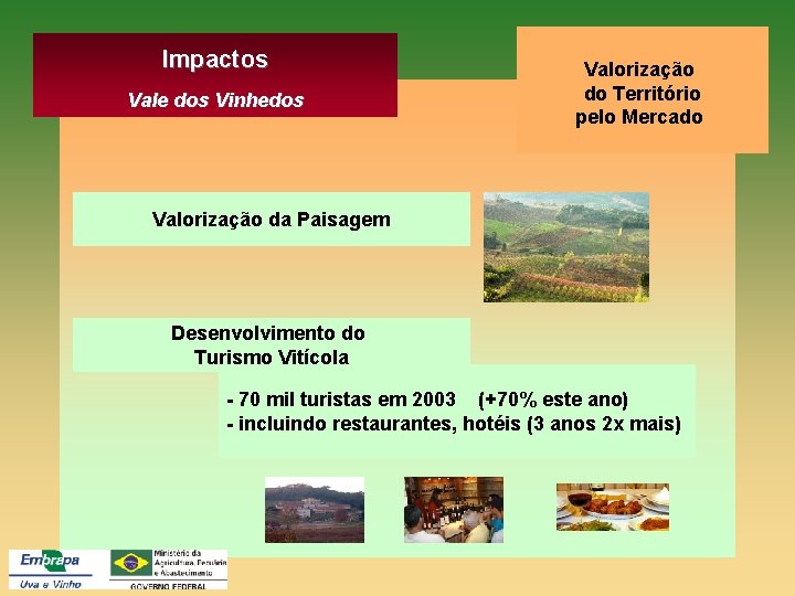 Impactos Vale dos Vinhedos Valorização do Território pelo Mercado Valorização da Paisagem Desenvolvimento do