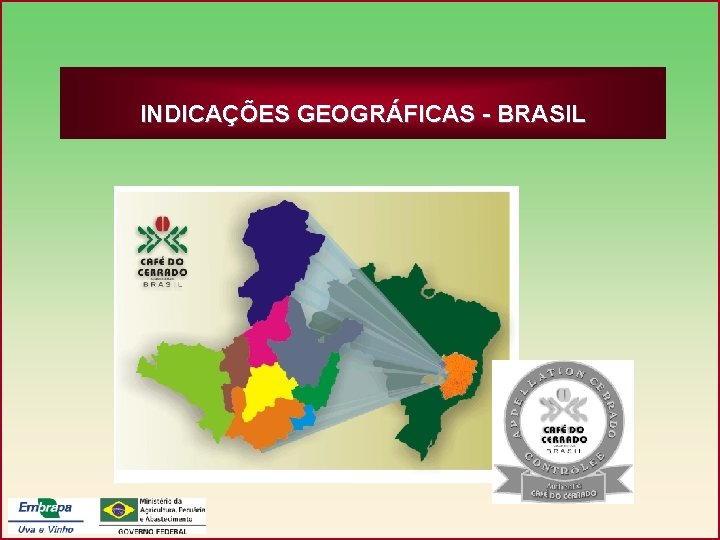 INDICAÇÕES GEOGRÁFICAS - BRASIL 