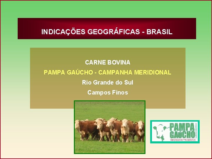 INDICAÇÕES GEOGRÁFICAS - BRASIL CARNE BOVINA PAMPA GAÚCHO - CAMPANHA MERIDIONAL Rio Grande do