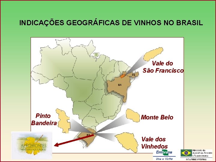 INDICAÇÕES GEOGRÁFICAS DE VINHOS NO BRASIL Vale do São Francisco Pinto Bandeira Monte Belo