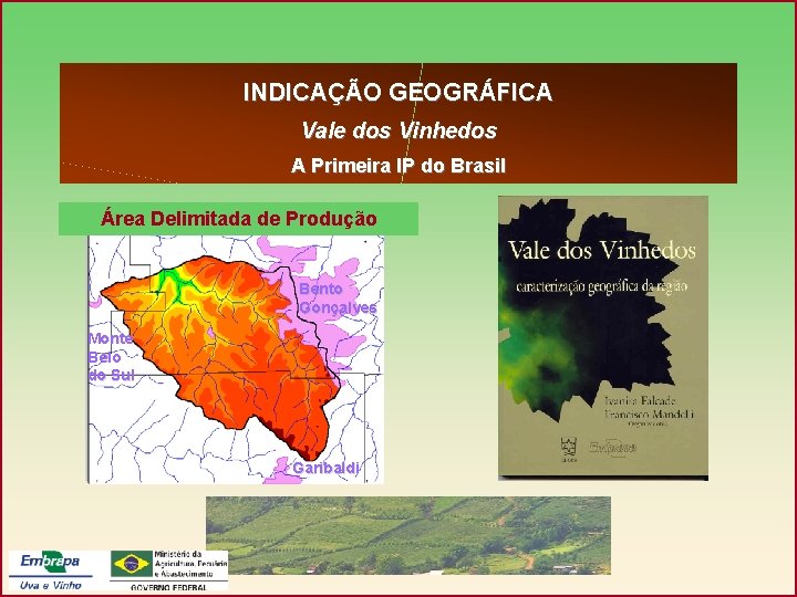 INDICAÇÃO GEOGRÁFICA Vale dos Vinhedos A Primeira IP do Brasil Área Delimitada de Produção