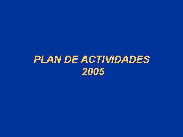 PLAN DE ACTIVIDADES 2005 