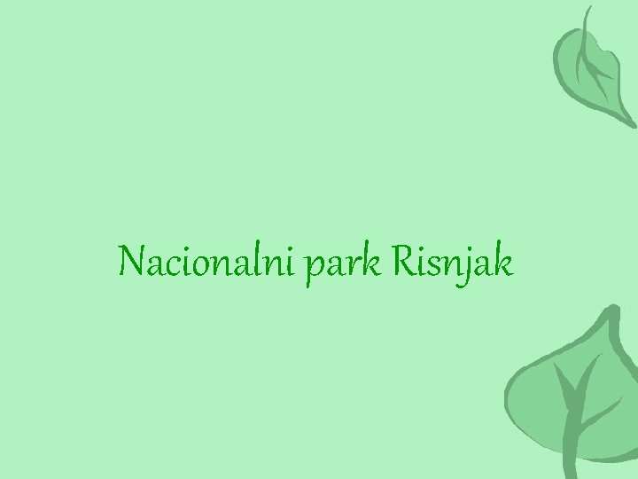 Nacionalni park Risnjak 