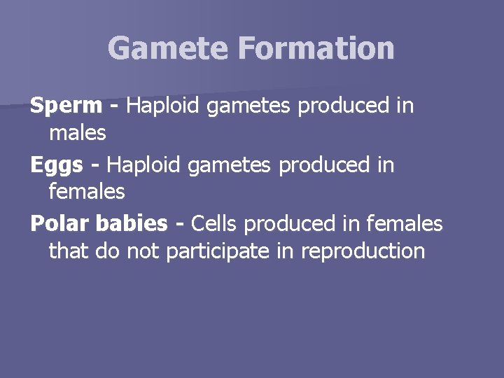 Gamete Formation Sperm - Haploid gametes produced in males Eggs - Haploid gametes produced