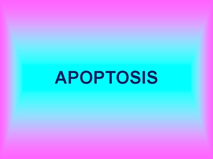 APOPTOSIS 