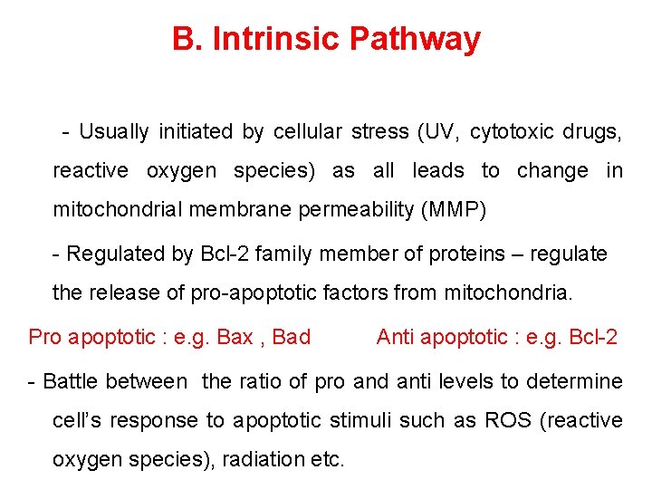 B. Intrinsic Pathway - Usually initiated by cellular stress (UV, cytotoxic drugs, reactive oxygen