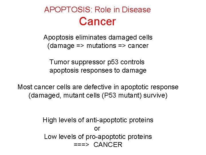 APOPTOSIS: Role in Disease Cancer Apoptosis eliminates damaged cells (damage => mutations => cancer