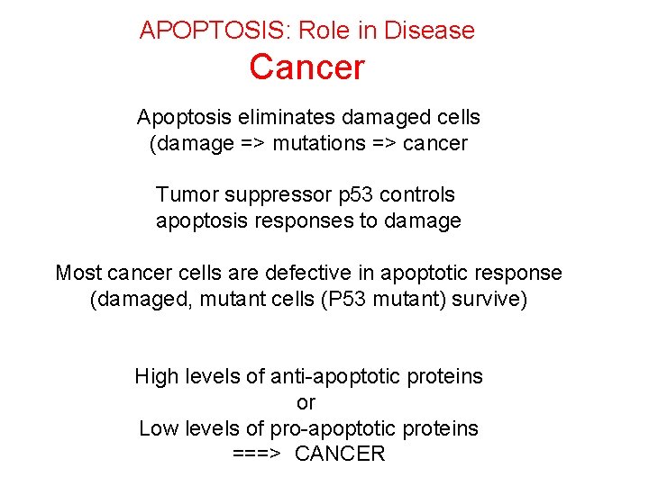 APOPTOSIS: Role in Disease Cancer Apoptosis eliminates damaged cells (damage => mutations => cancer