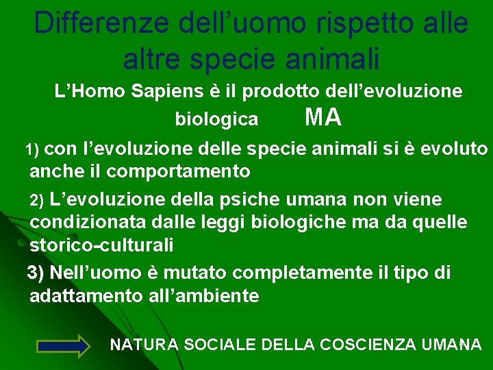 Differenze dell’uomo rispetto alle altre specie animali L’Homo Sapiens è il prodotto dell’evoluzione biologica