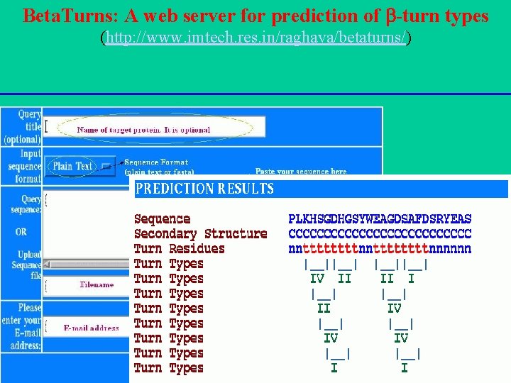 Beta. Turns: A web server for prediction of -turn types (http: //www. imtech. res.