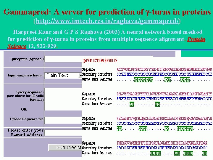 Gammapred: A server for prediction of -turns in proteins (http: //www. imtech. res. in/raghava/gammapred/)