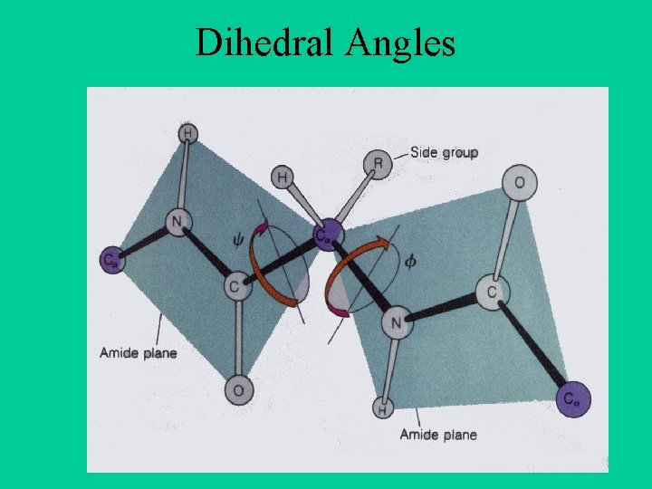 Dihedral Angles 