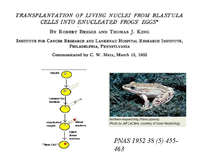 PNAS 1952 38 (5) 455463 
