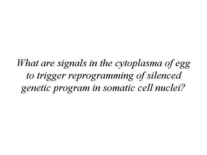 What are signals in the cytoplasma of egg to trigger reprogramming of silenced genetic