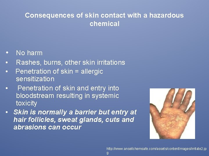 Consequences of skin contact with a hazardous chemical • No harm • • Rashes,