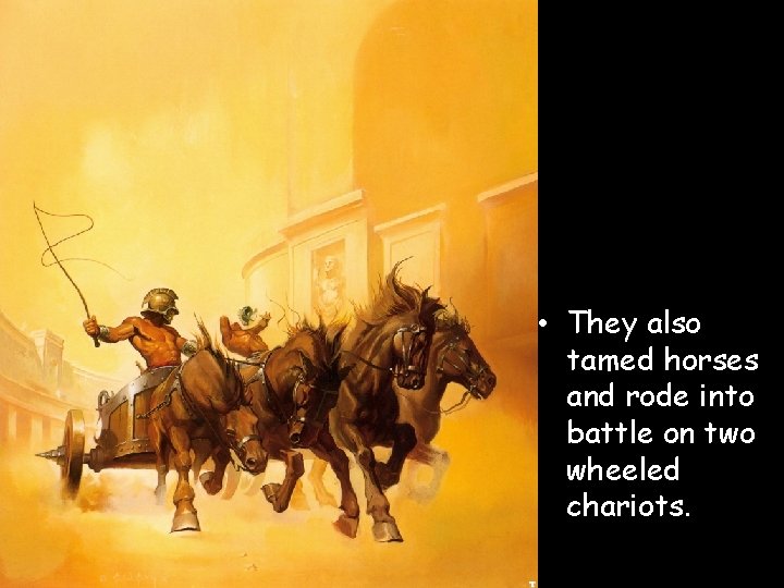  • They also tamed horses and rode into battle on two wheeled chariots.