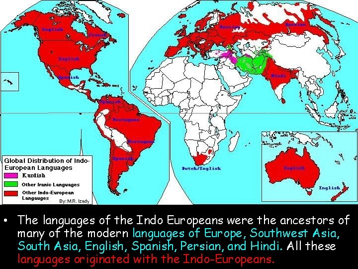 The Indo. European Language Family • The languages of the Indo Europeans were the