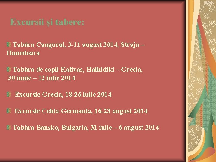 Excursii și tabere: Tabăra Cangurul, 3 -11 august 2014, Straja – Hunedoara Tabăra de