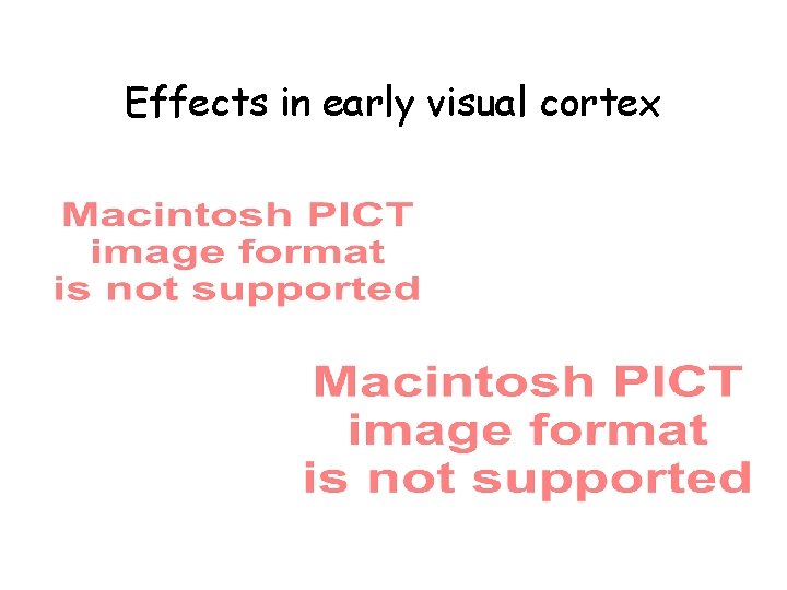 Effects in early visual cortex 