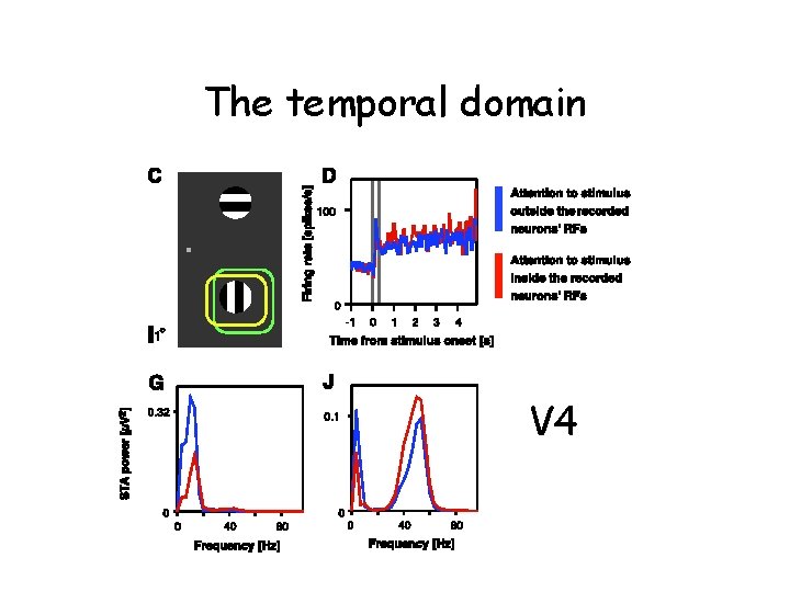 The temporal domain V 4 