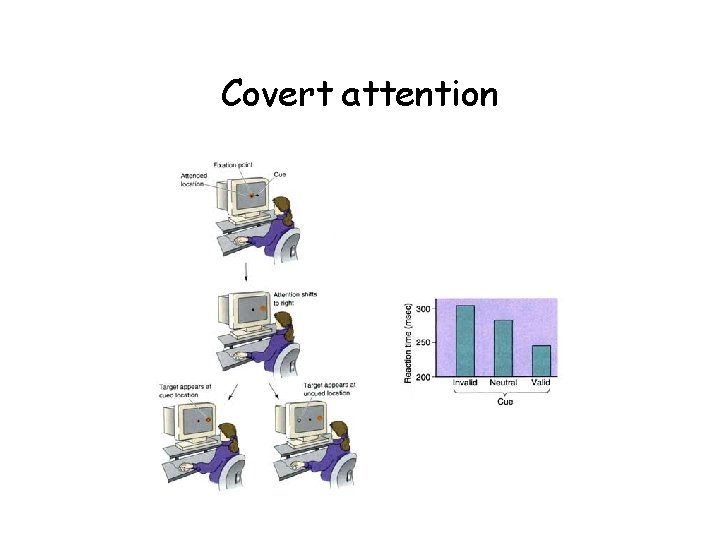 Covert attention 
