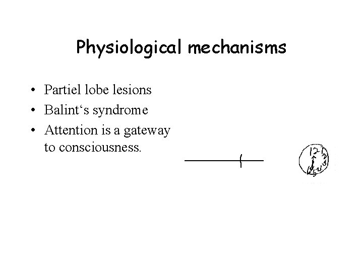 Physiological mechanisms • Partiel lobe lesions • Balint‘s syndrome • Attention is a gateway