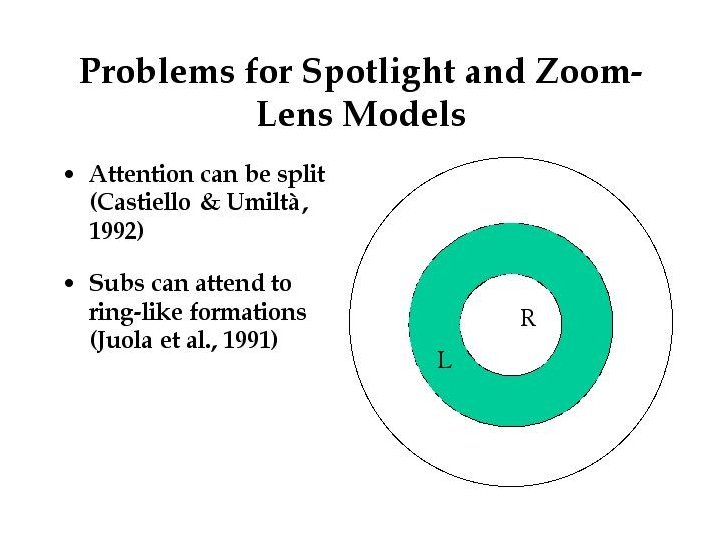 Problems with spotlight 