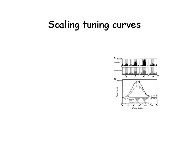 Scaling tuning curves 