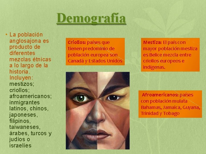 Demografía • La población anglosajona es producto de diferentes mezclas étnicas a lo largo