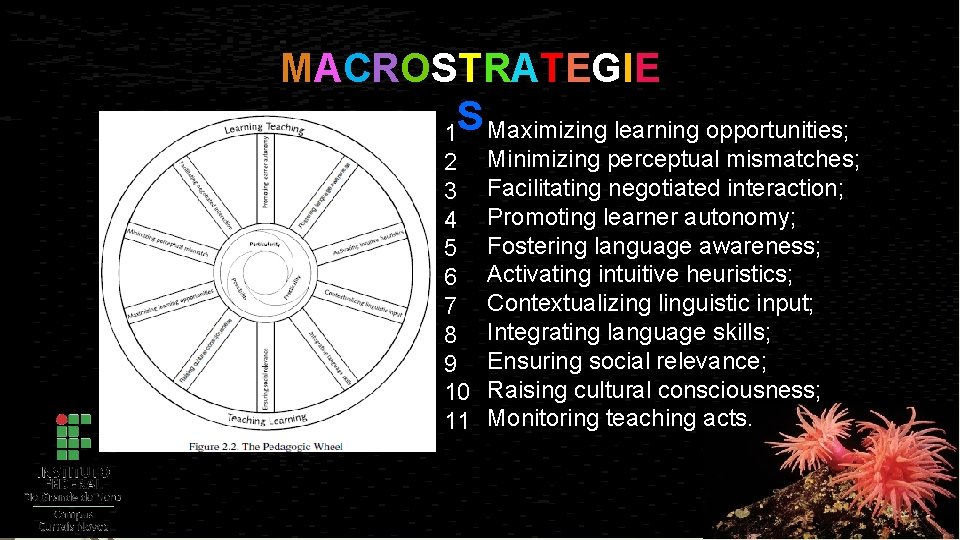 MA C R O S T R A T E G I E 1