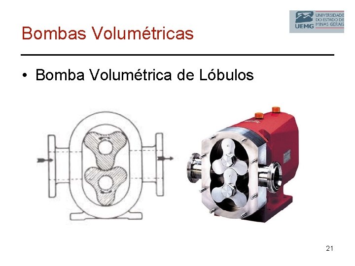 Bombas Volumétricas • Bomba Volumétrica de Lóbulos 21 
