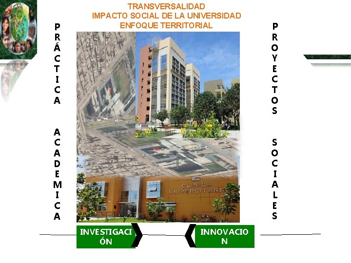 P R Á C T I C A TRANSVERSALIDAD IMPACTO SOCIAL DE LA UNIVERSIDAD